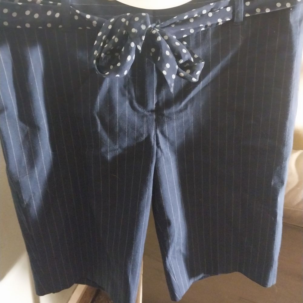 Charter Club Navy Pinstripe, Petite, Lined, Shorts with Polka Dot Scarf Belt
